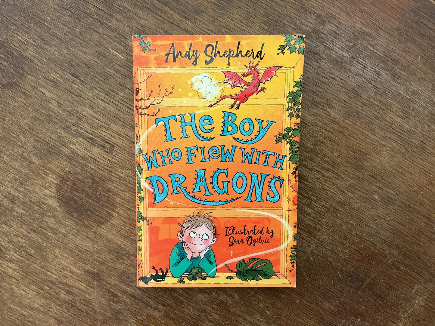 The Boy Who Flew with Dragons by Andy Shepherd