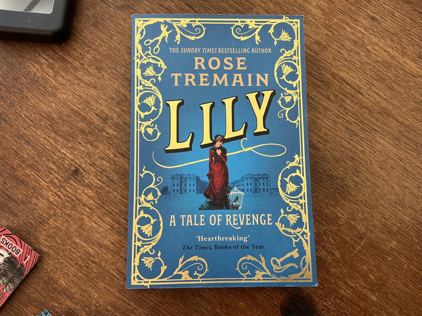 Lily by Rose Tremain