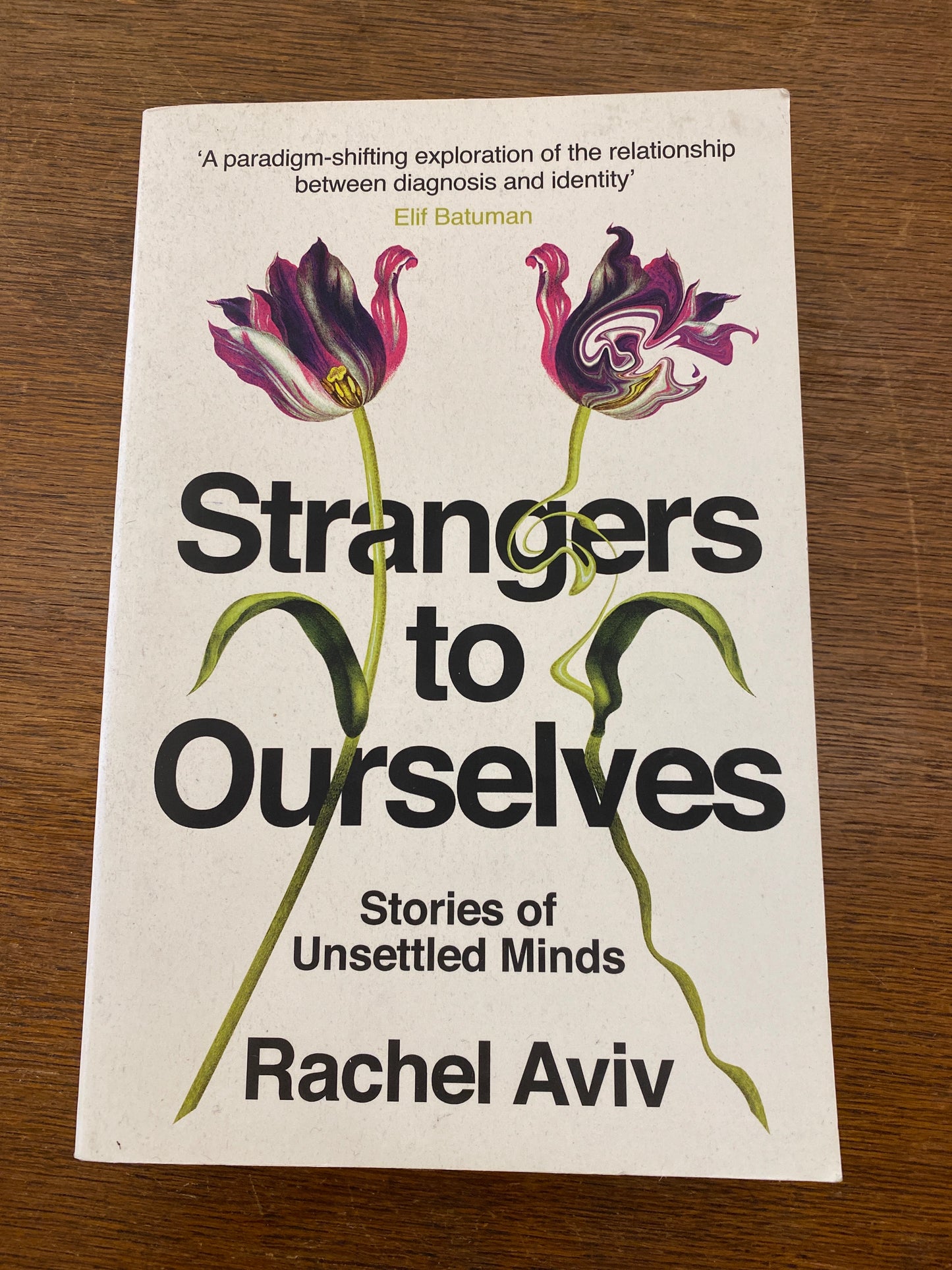 Strangers to Ourselves: stories of unsettled minds