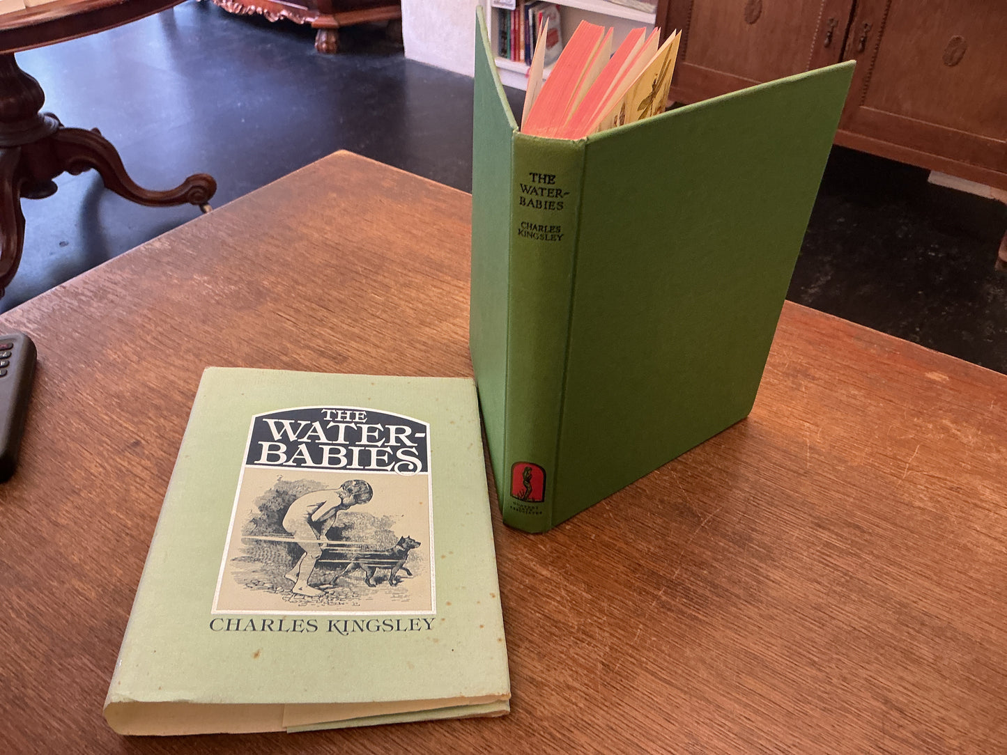 The Waterbabies by Charles Kingsley 1979 edition