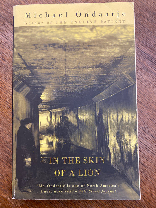 In the Skin of a Lion by Michael Ondaatje