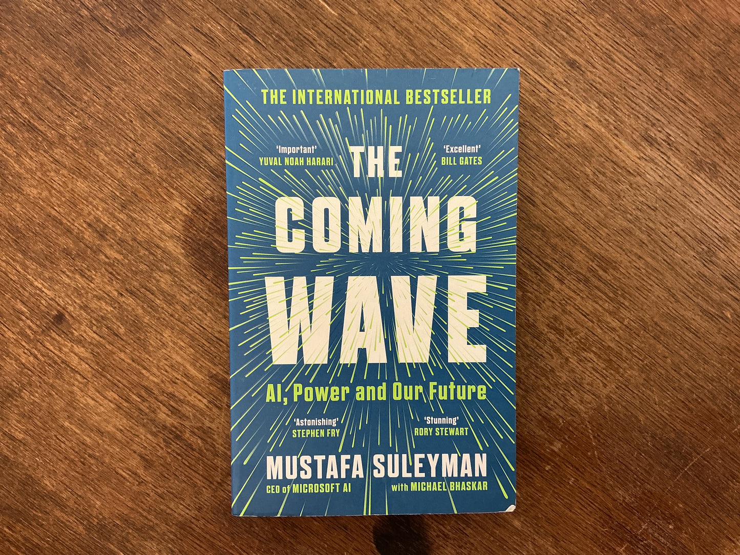 Vintage The Coming Wave by Mustafa Suleyman & Michael Bhaskar