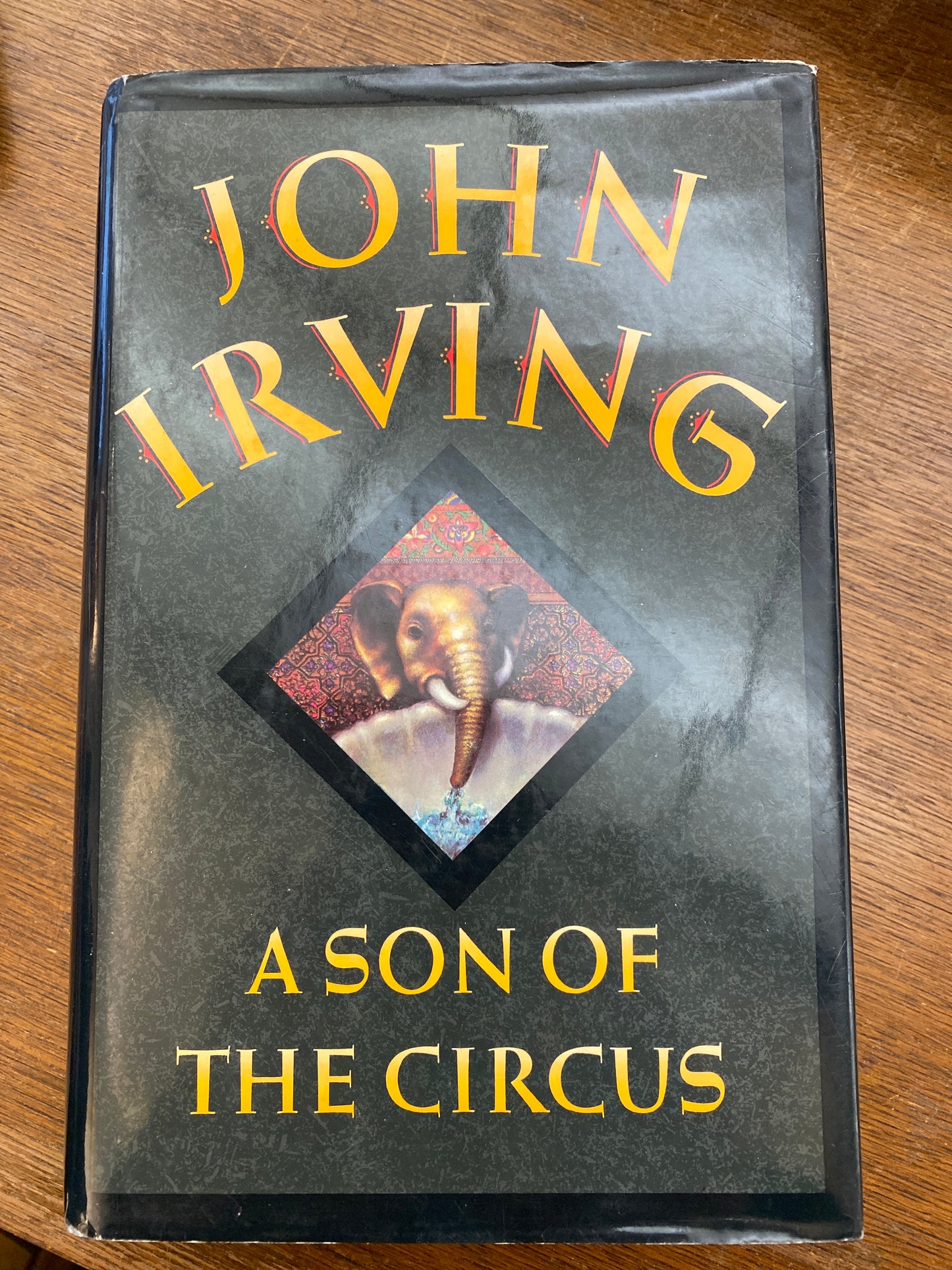 A Son of the Circus by John Irving