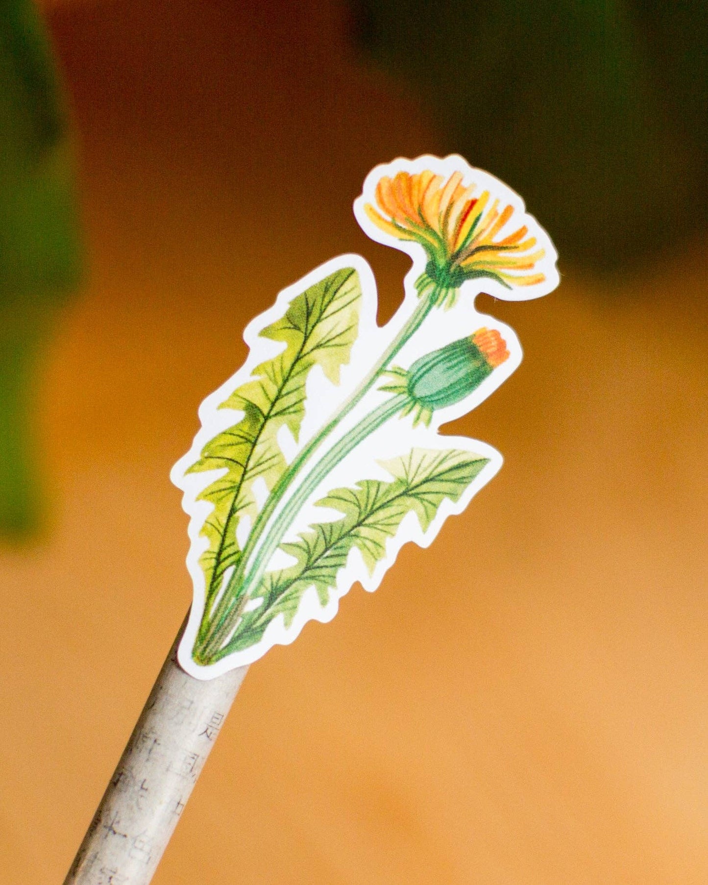 Sticker Sheet — Dandelions