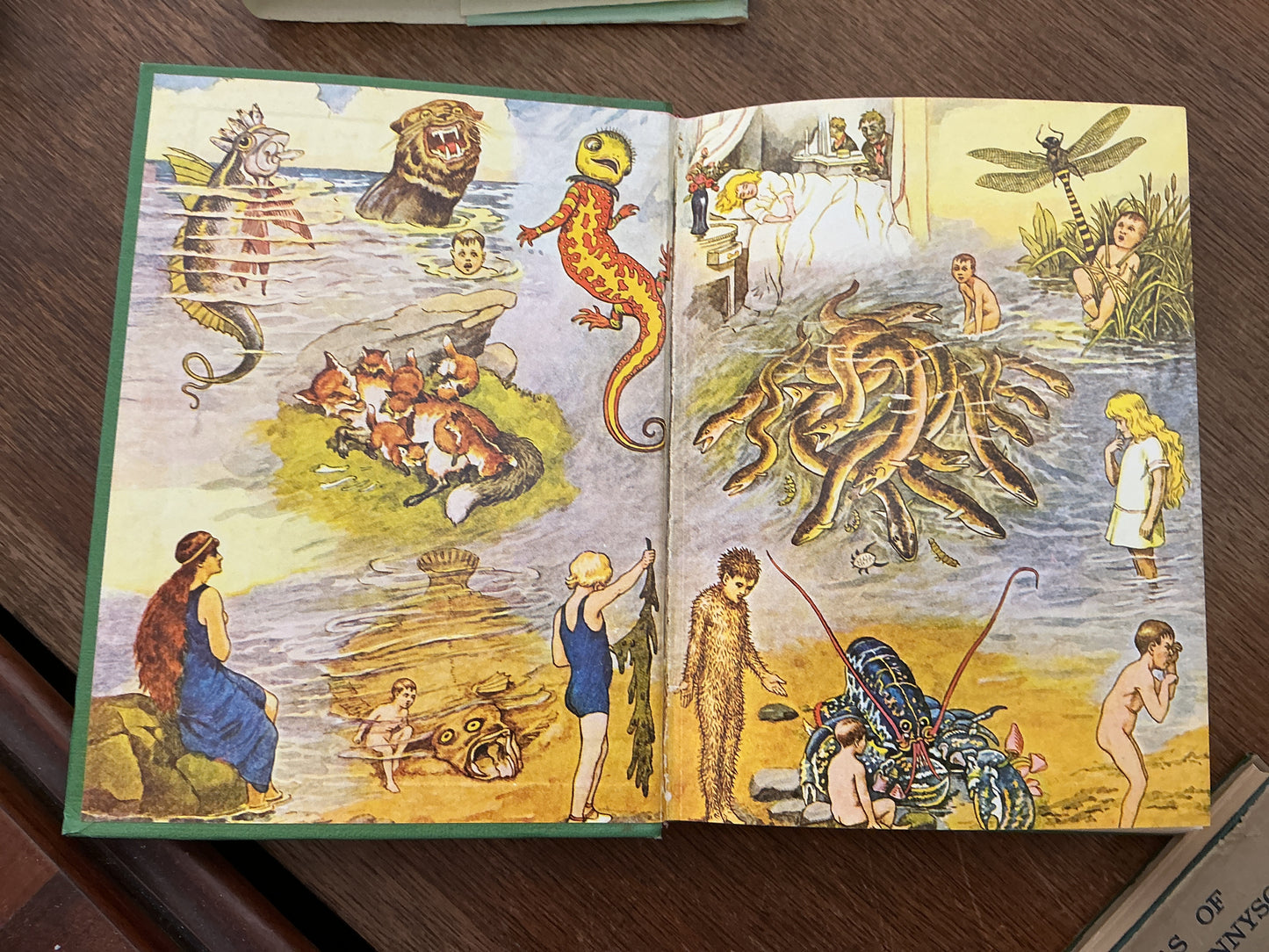 The Waterbabies by Charles Kingsley 1979 edition