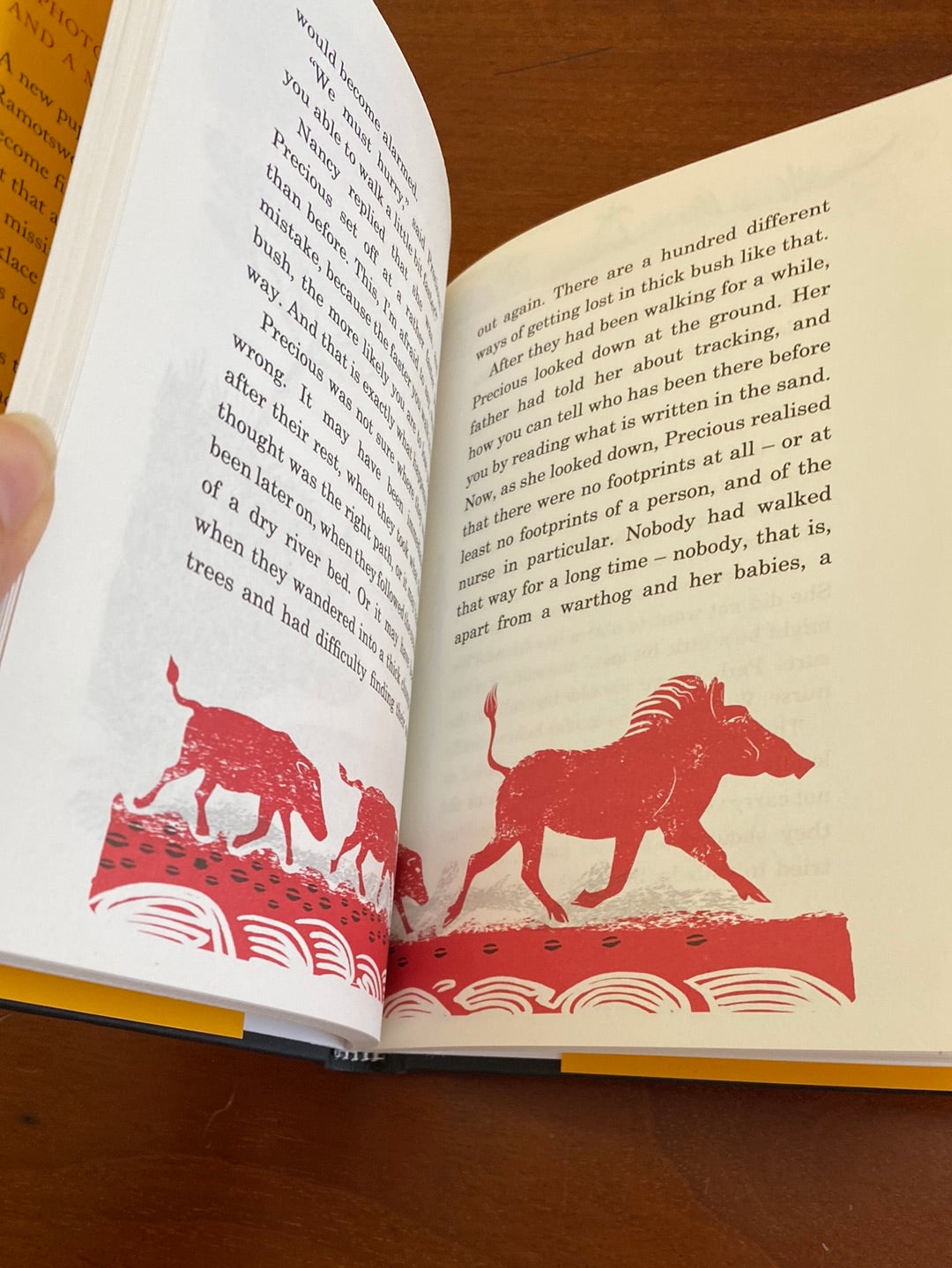 Precious and the Zebra Necklace by Alexander McCall Smith