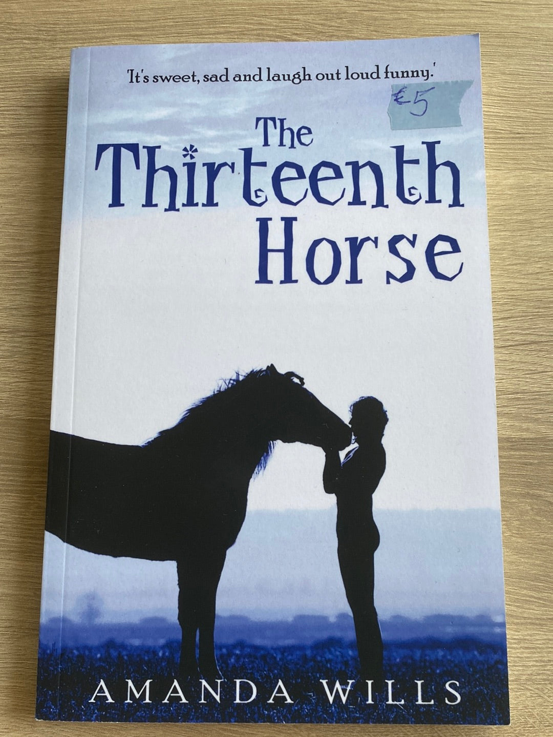 The Thirteenth Horse by Amanda Wills