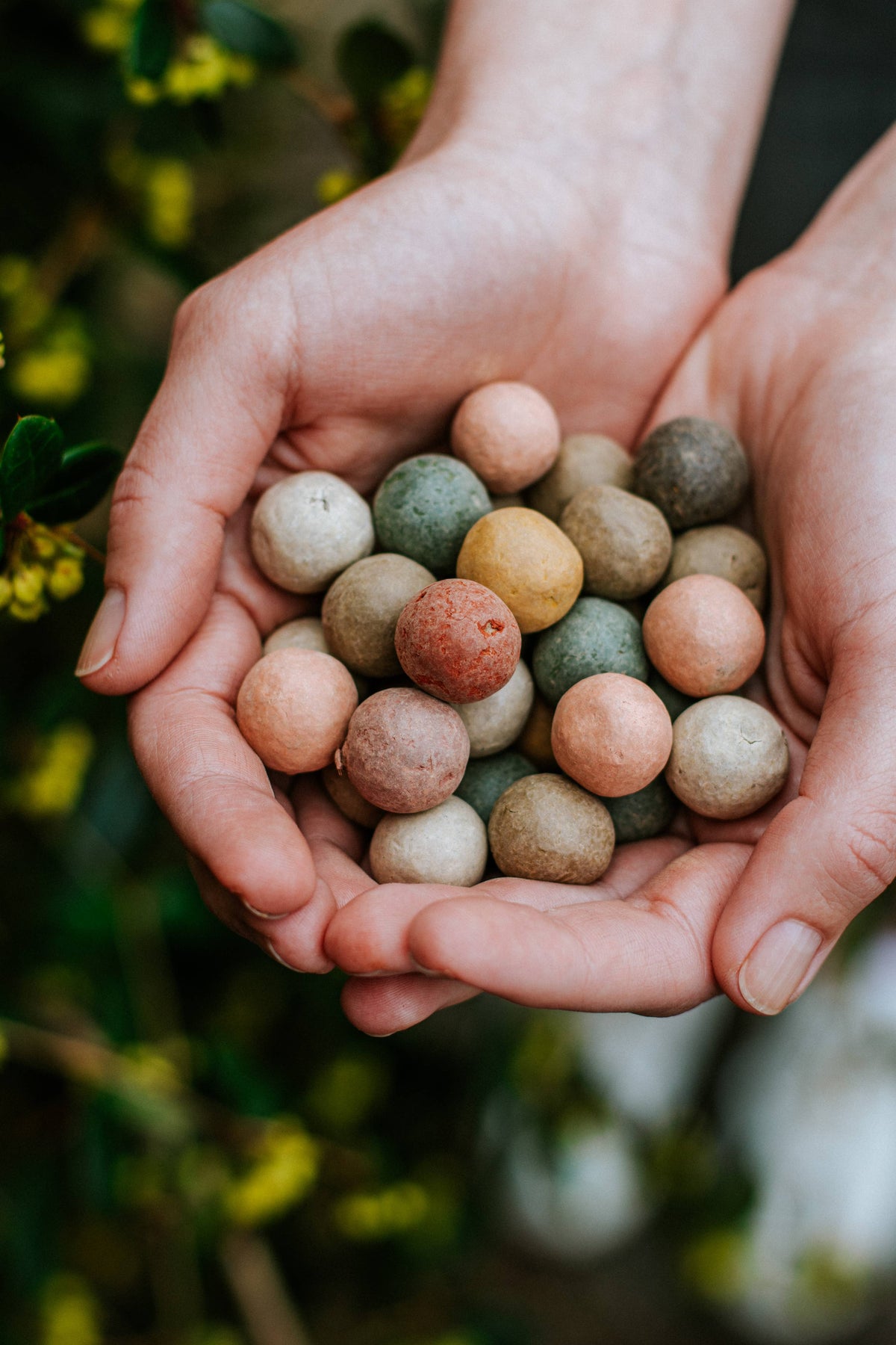 Organic Christmas Gift with 3 Blossombs Seed Bombs