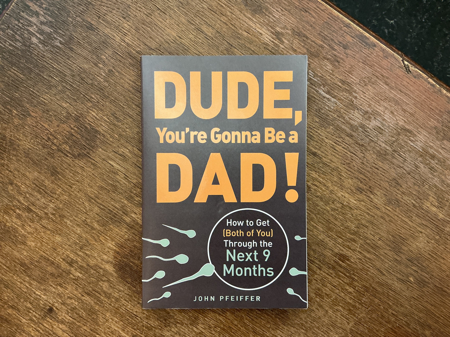 Dude, You're Gonna Be a Dad!: How to Get (Both of You) Through the Next 9 Months by John Pfeiffer