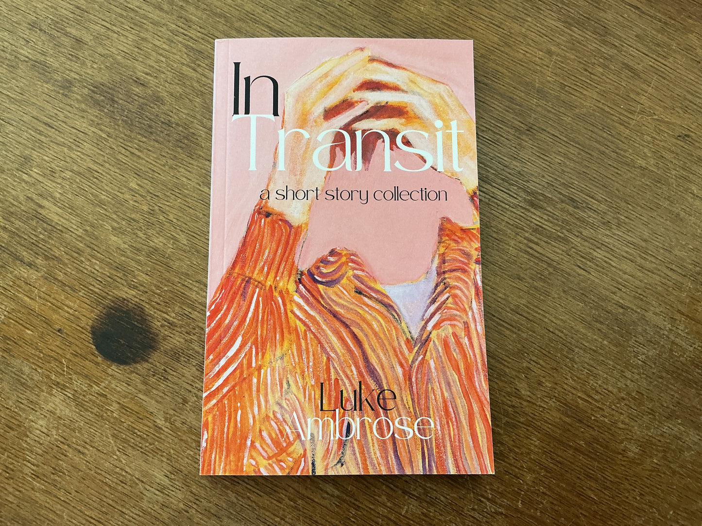 In Transit (short stories) by Luke Ambrose