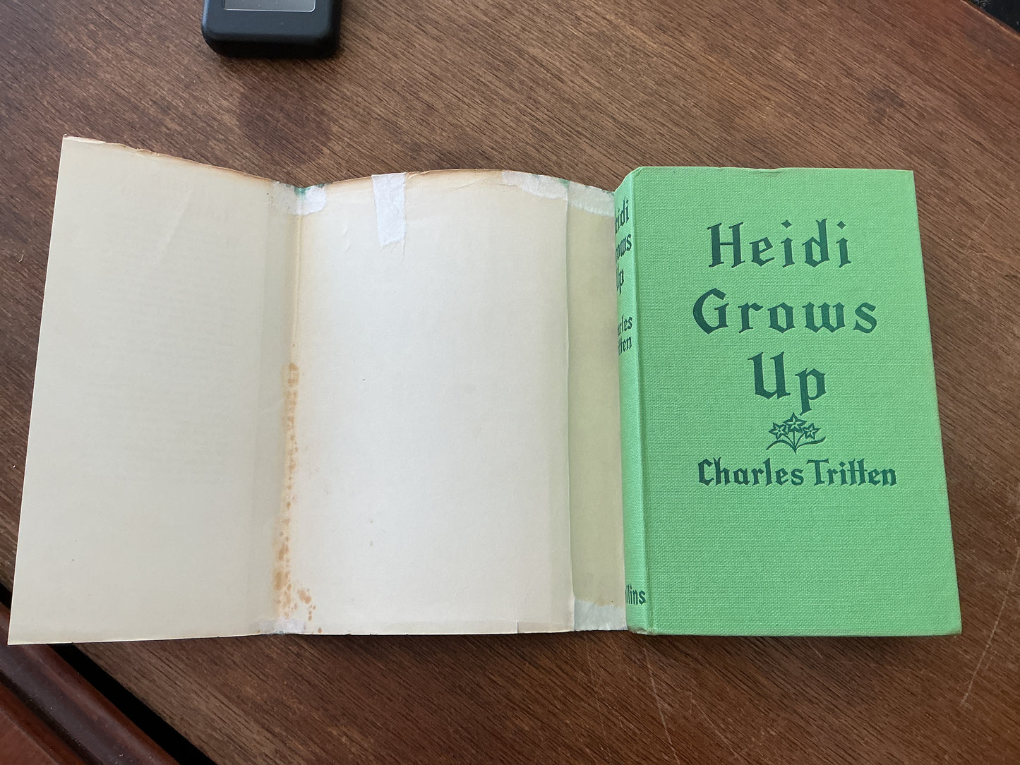 Heidi Grows Up by Charles Tritten 1962 edition