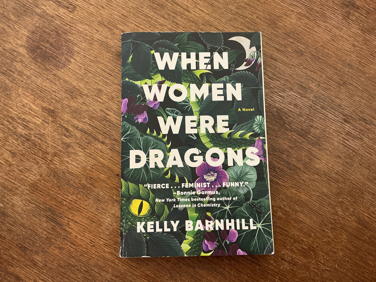 When Women Were Dragons: A Novel by Kelly Barnhill
