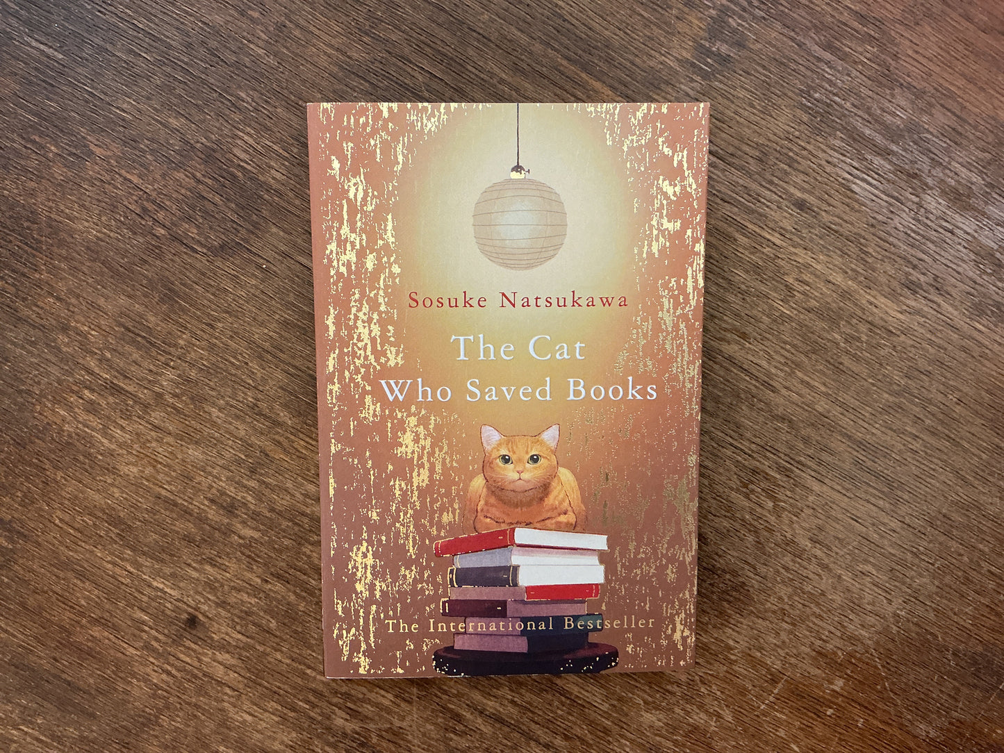 The Cat That Saves Books by Natsukawa Sosuke