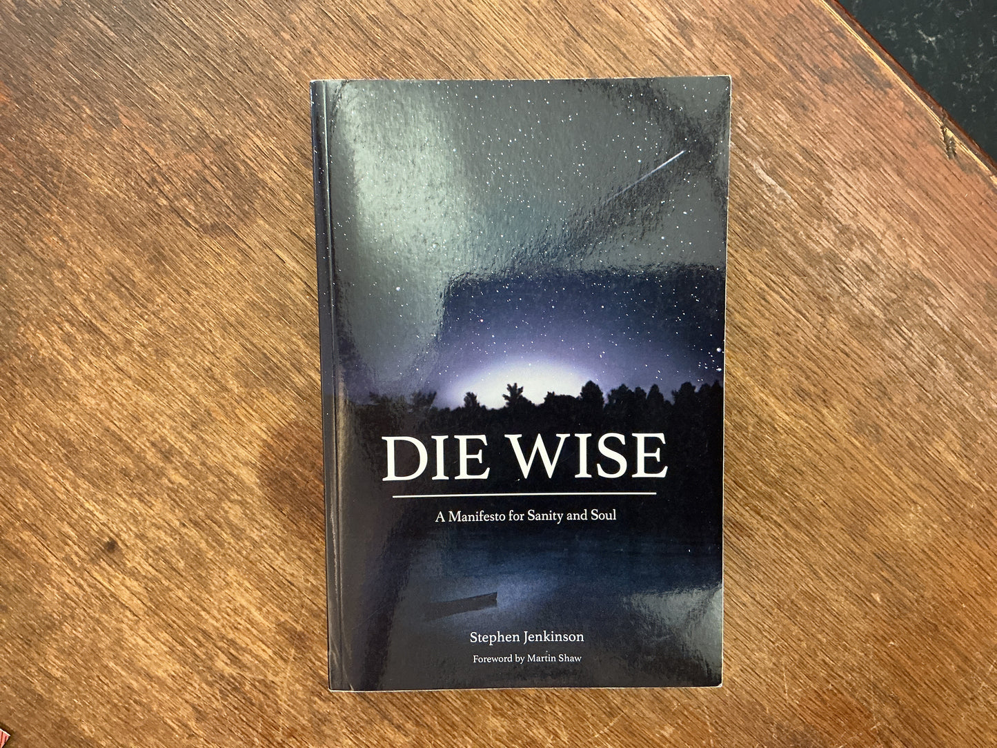 Die Wise: A Manifesto for Sanity and Soul by Stephen Jenkinson