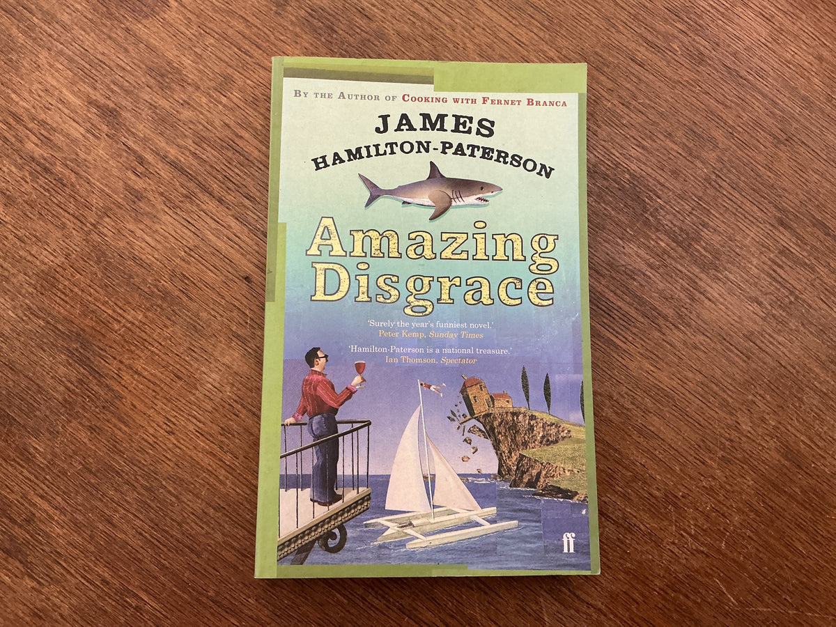 Amazing Disgrace by James Hamilton-Pater