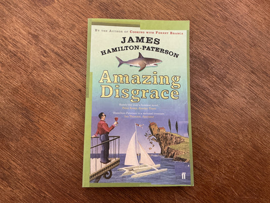 Amazing Disgrace by James Hamilton-Pater