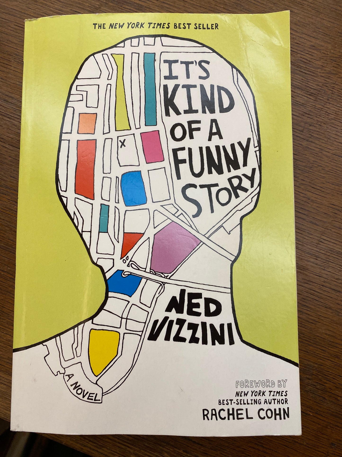 It's Kind of a Funny Story by Ned Vizzini