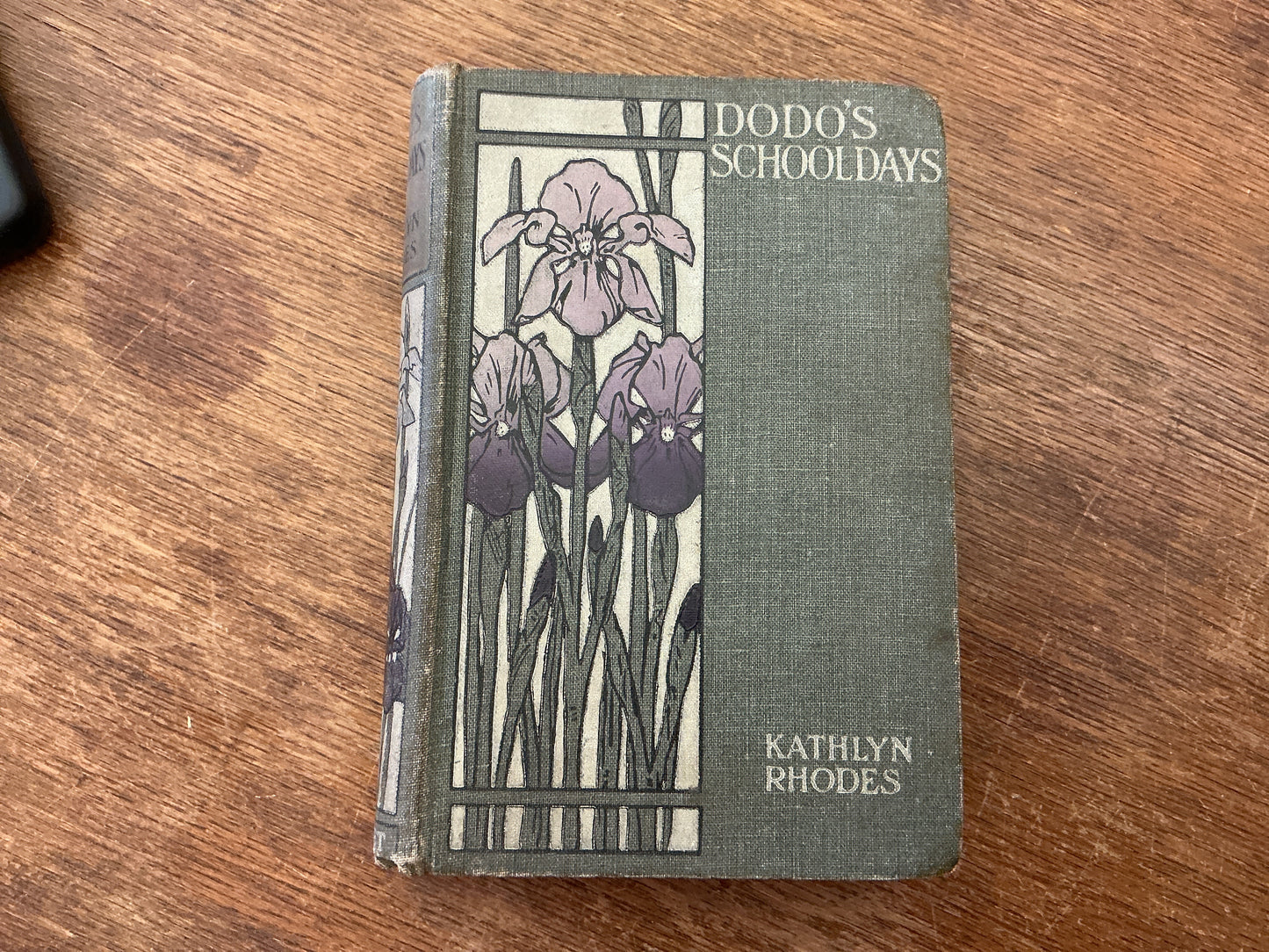 Dodo’s Schooldays by Kathlyn Rhodes