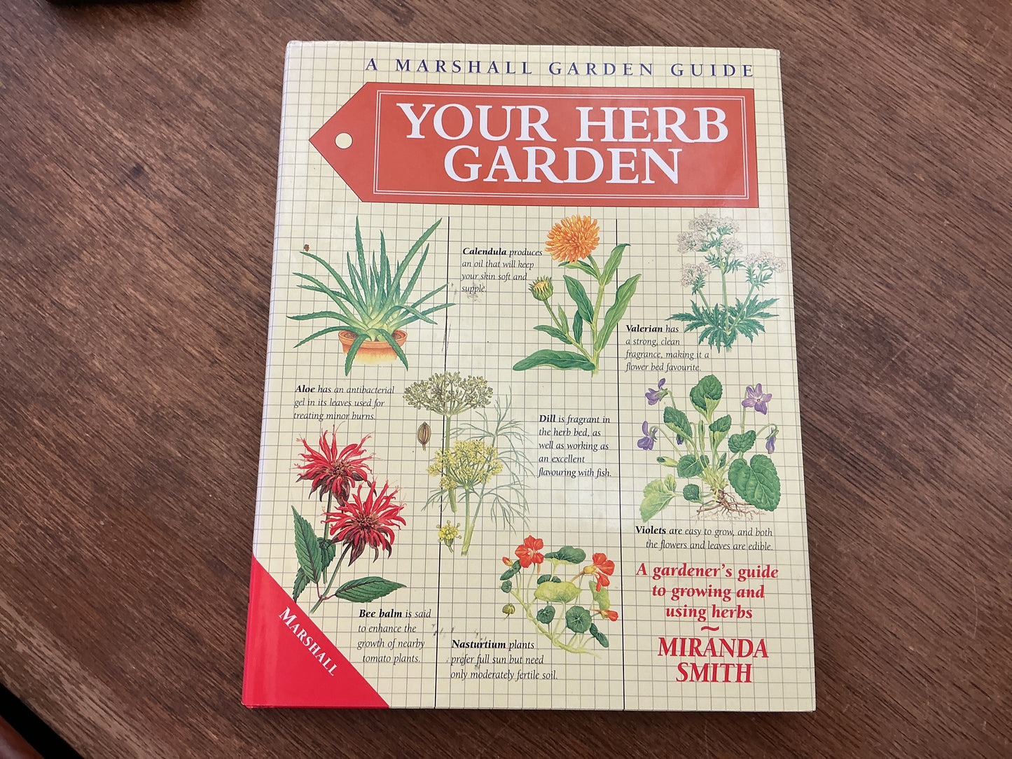 Your Herb Garden (Garden Guides)
