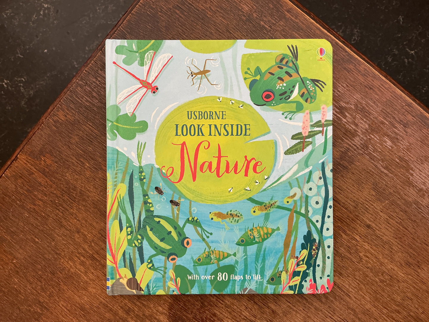 Look Inside Animal Homes by Minna Lacey and Carolina Buzio