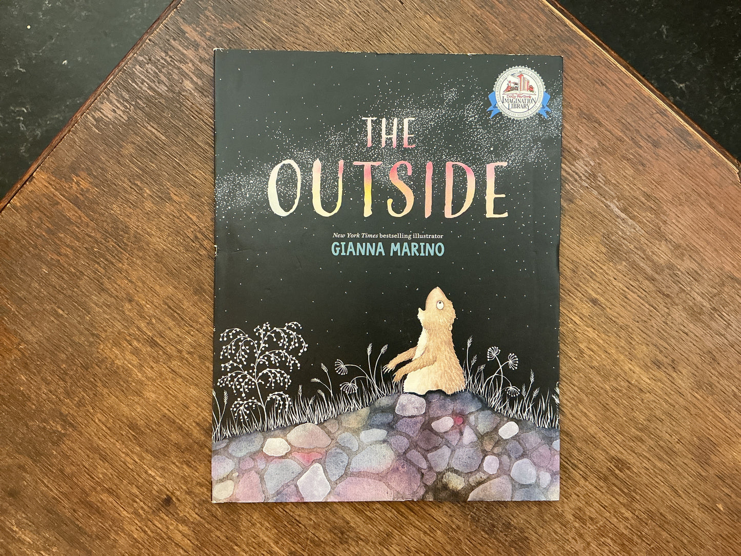 The Outside by Gianna Marino