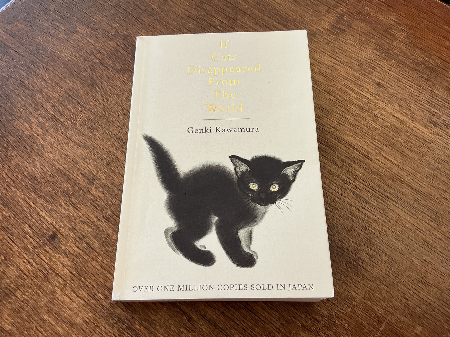 If Cats Disappeared from the World by Genki Kawamura