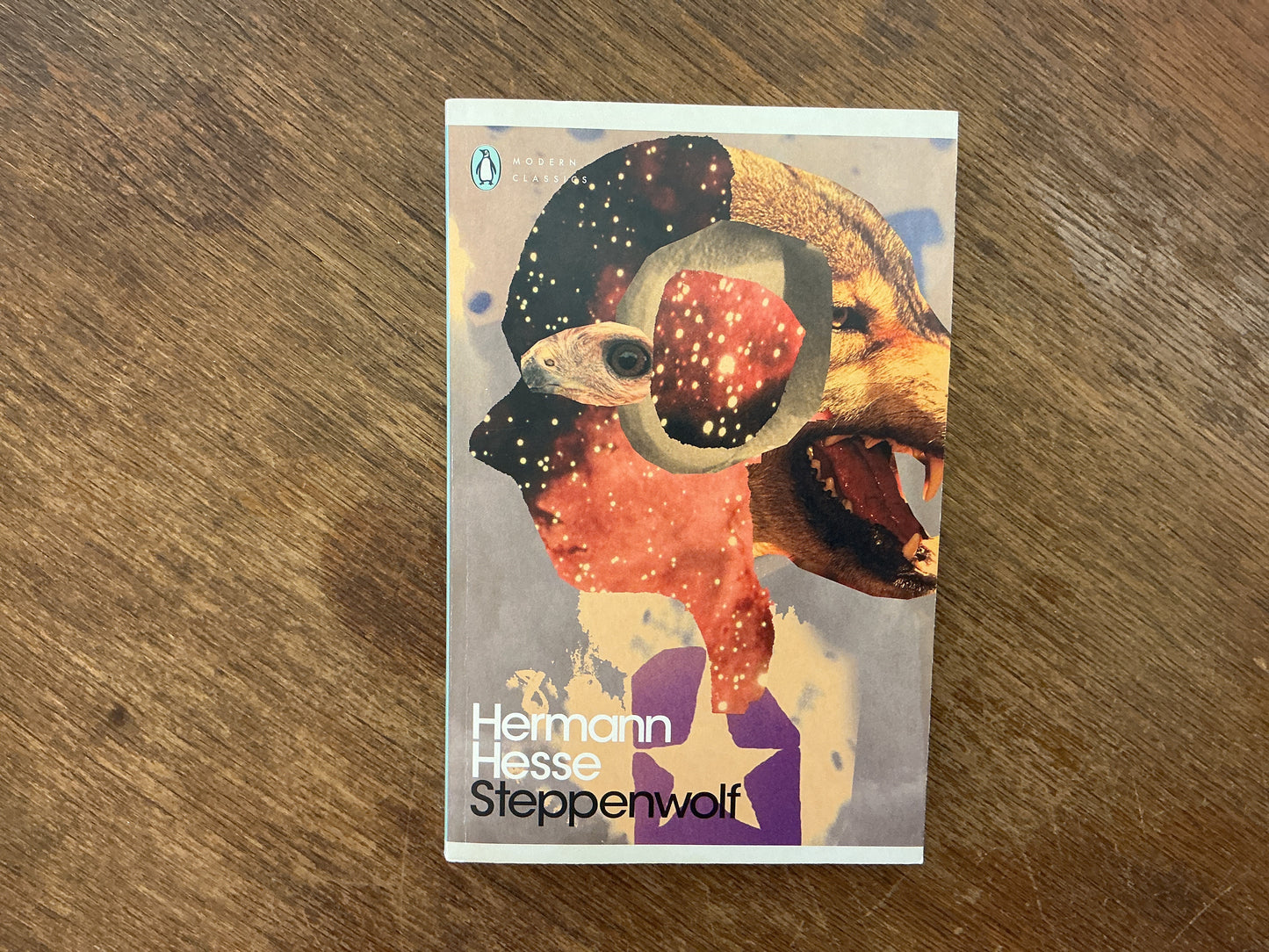 Steppenwolf by Herman Hesse