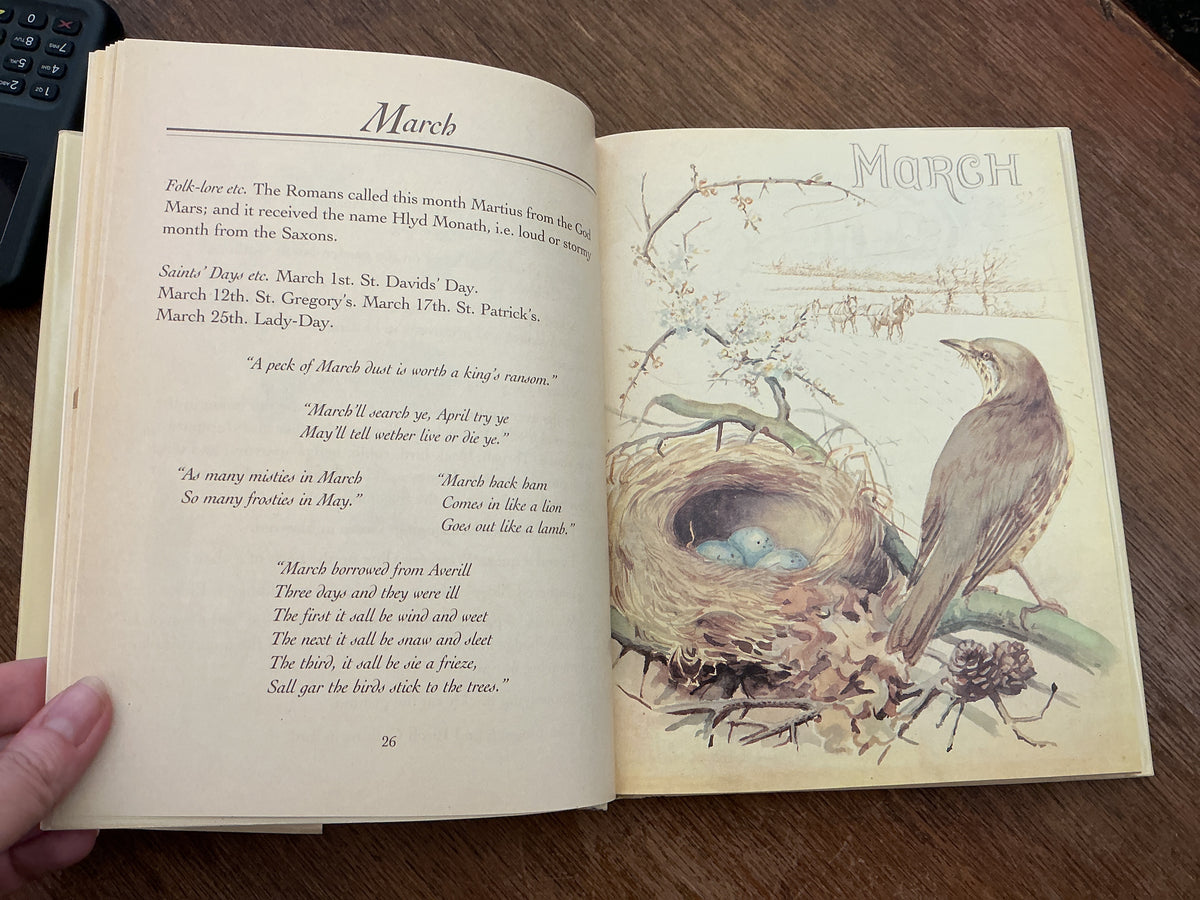 The Nature Notes of an Edwardian Lady by Edith Holden