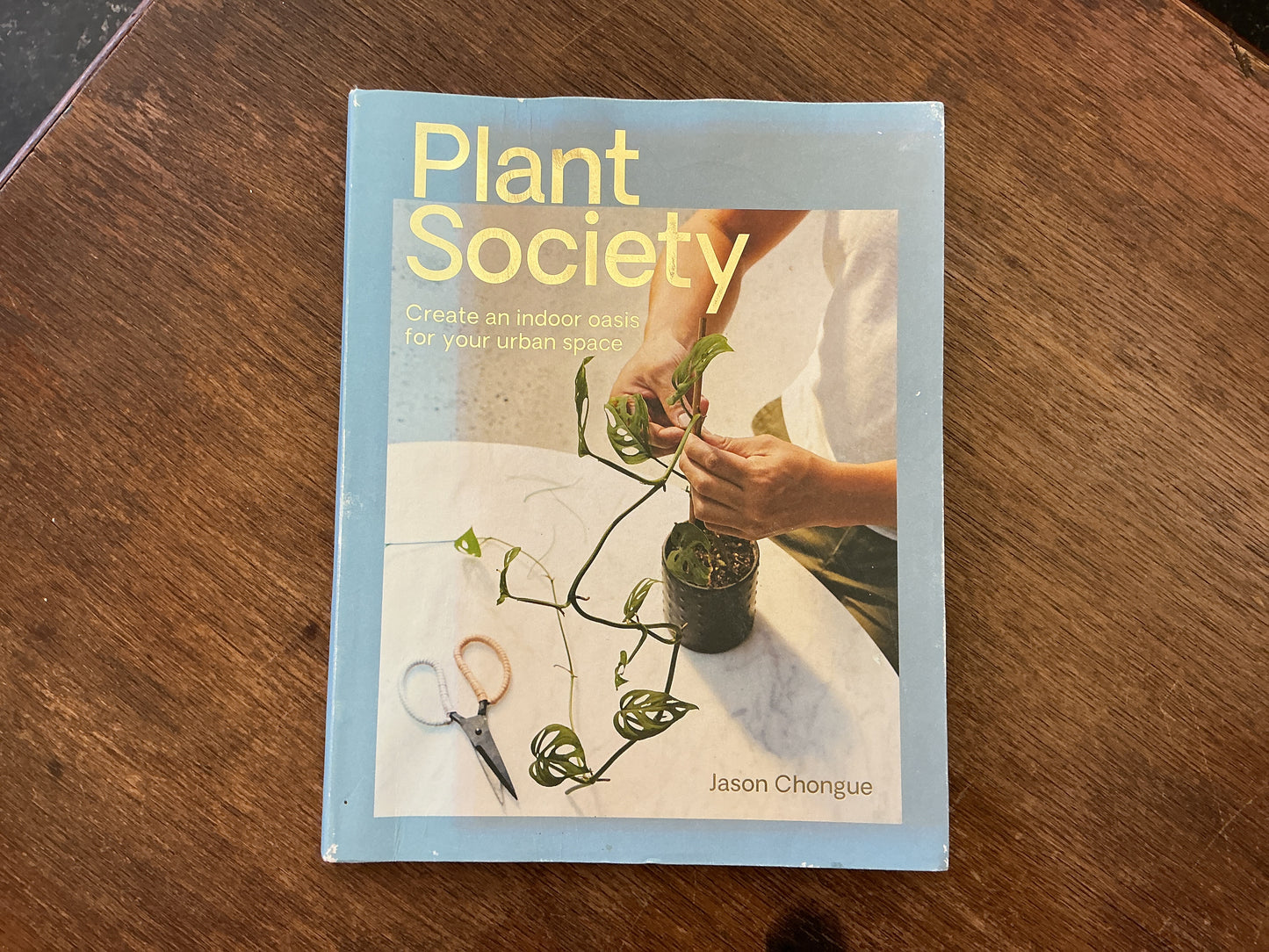 Plant Society: Create an Indoor Oasis for your Urban Space by Jason Chongue