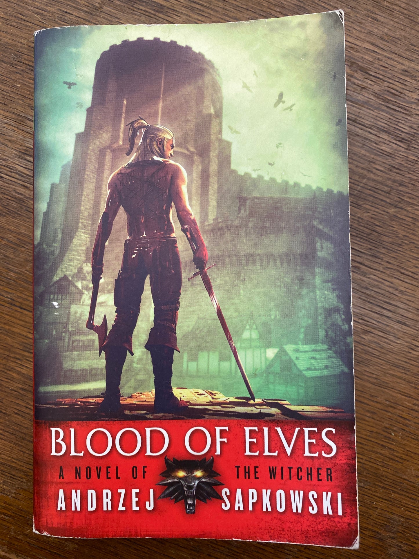 Blood of Elves (Witcher book 1) by Andrzej Sapkowski