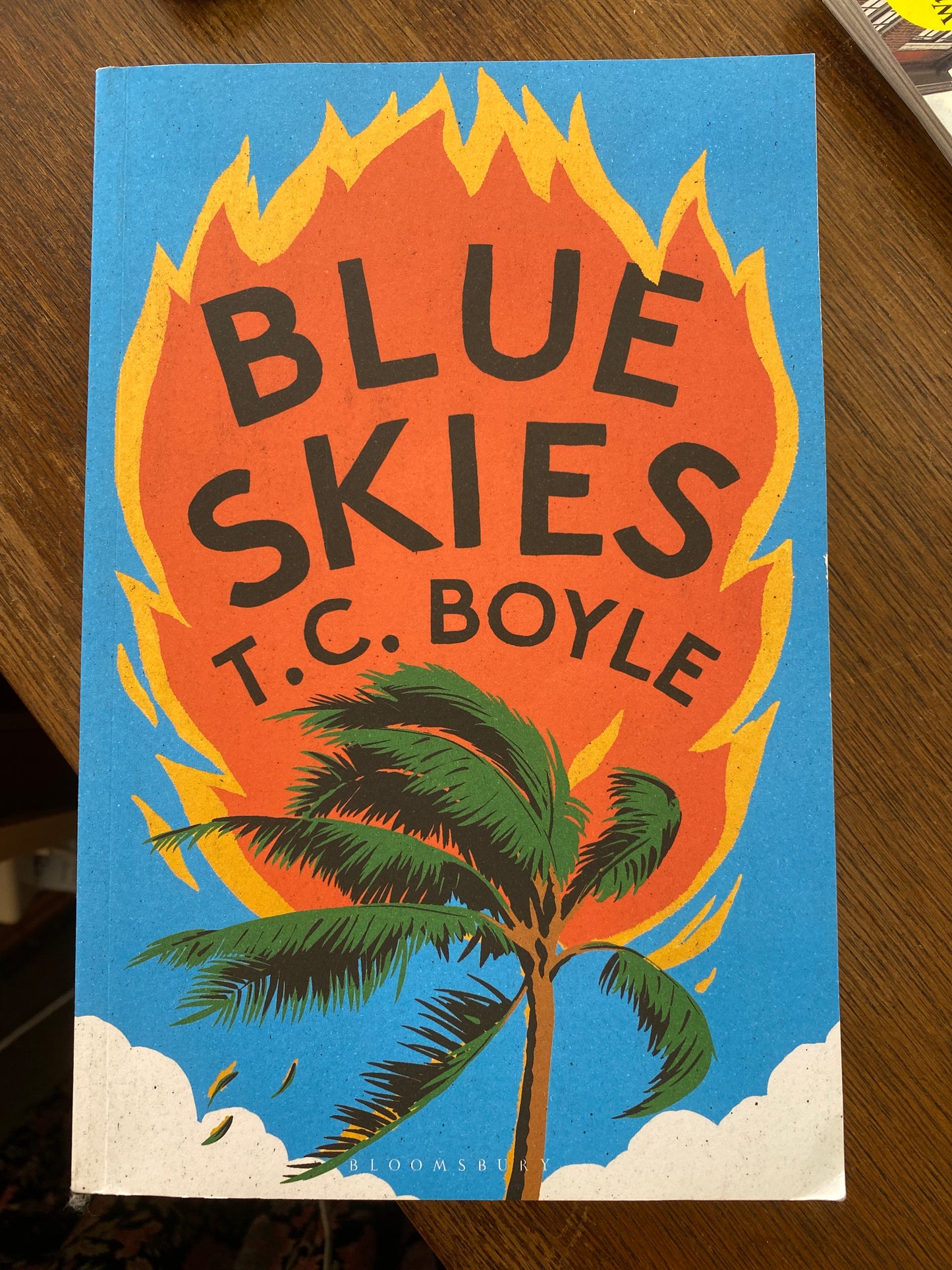 Blue skies by T.C. Boyle