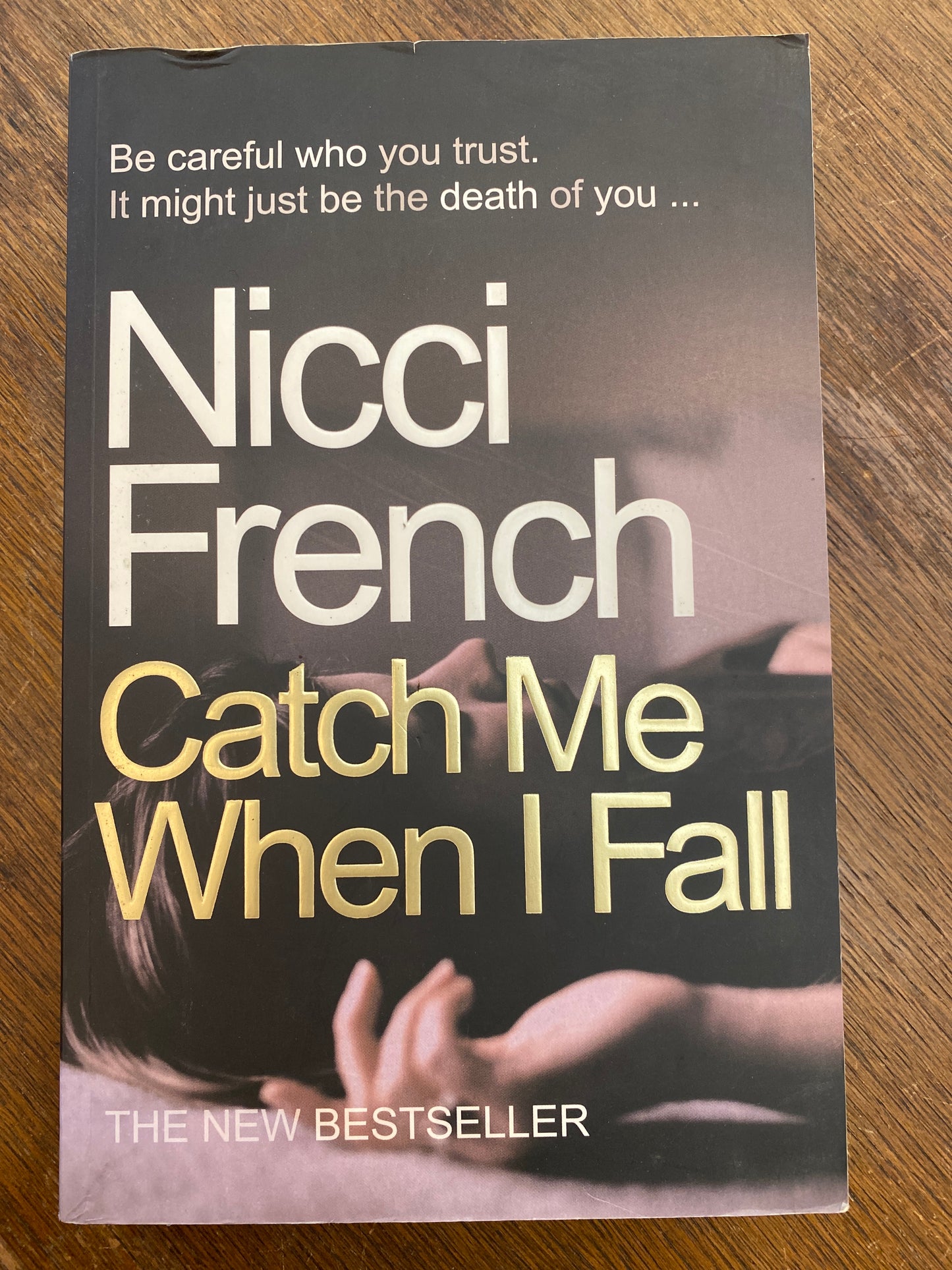 Catch Me When I Fall by Nicci French