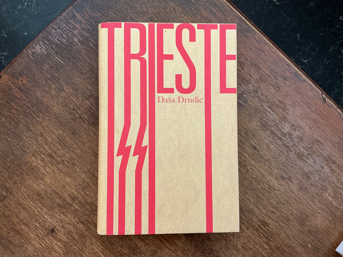 Trieste by Dasa Drndic
