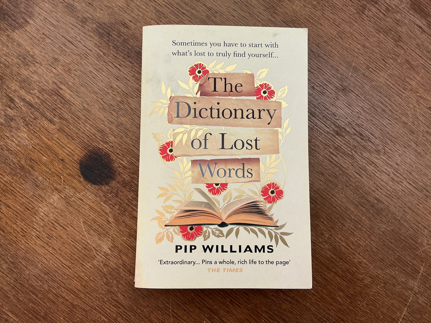 The Dictionary of Lost Words by Pip Williams