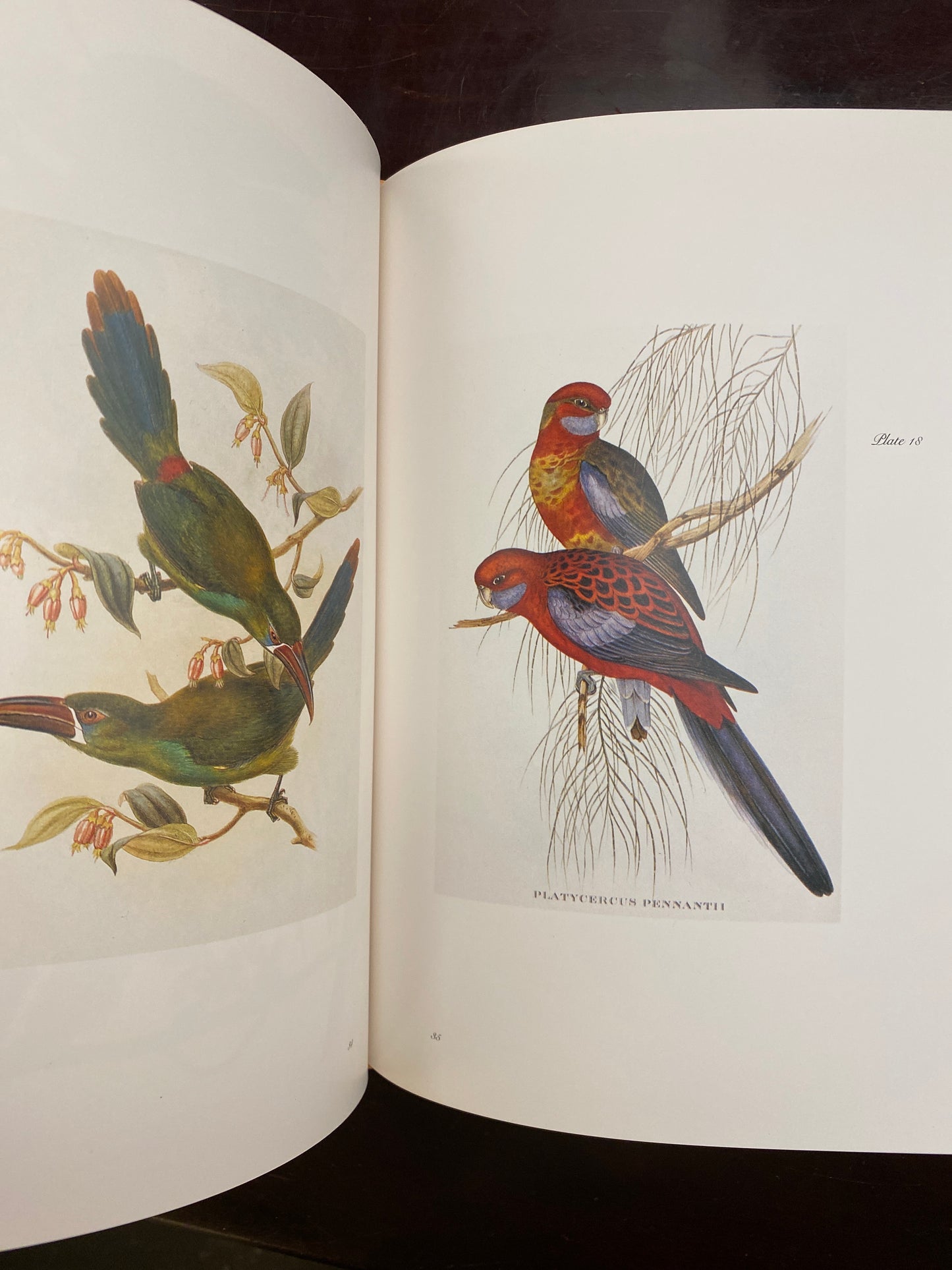 Gould's Exotic Birds (Victoria and Albert Natural History Illustrators)