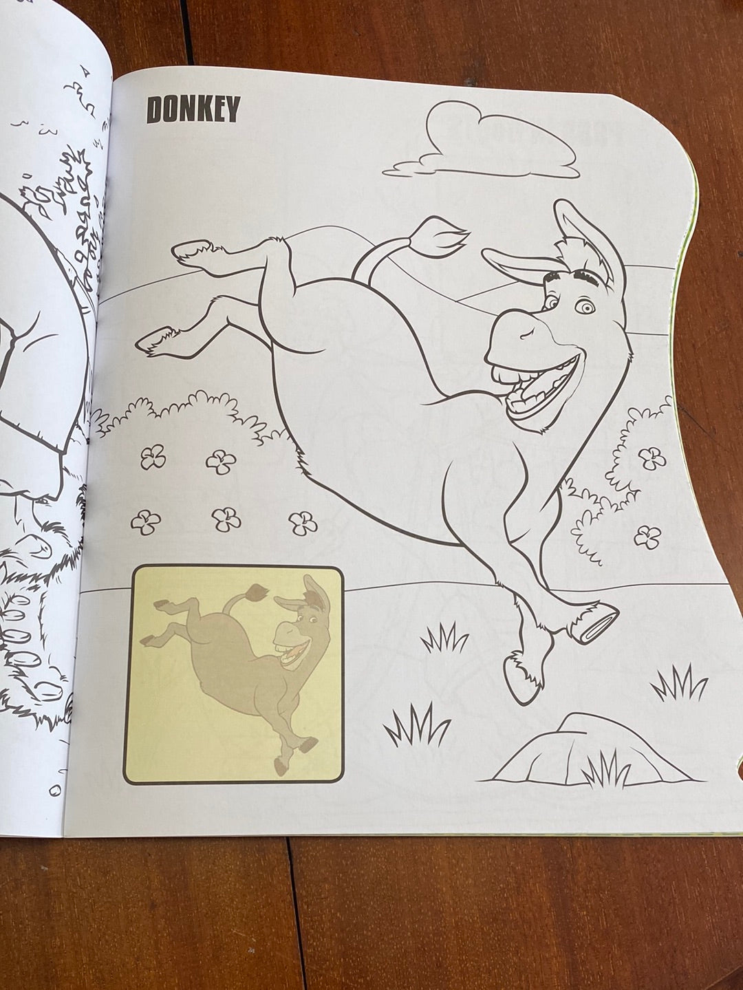 Shrek Colouring Book