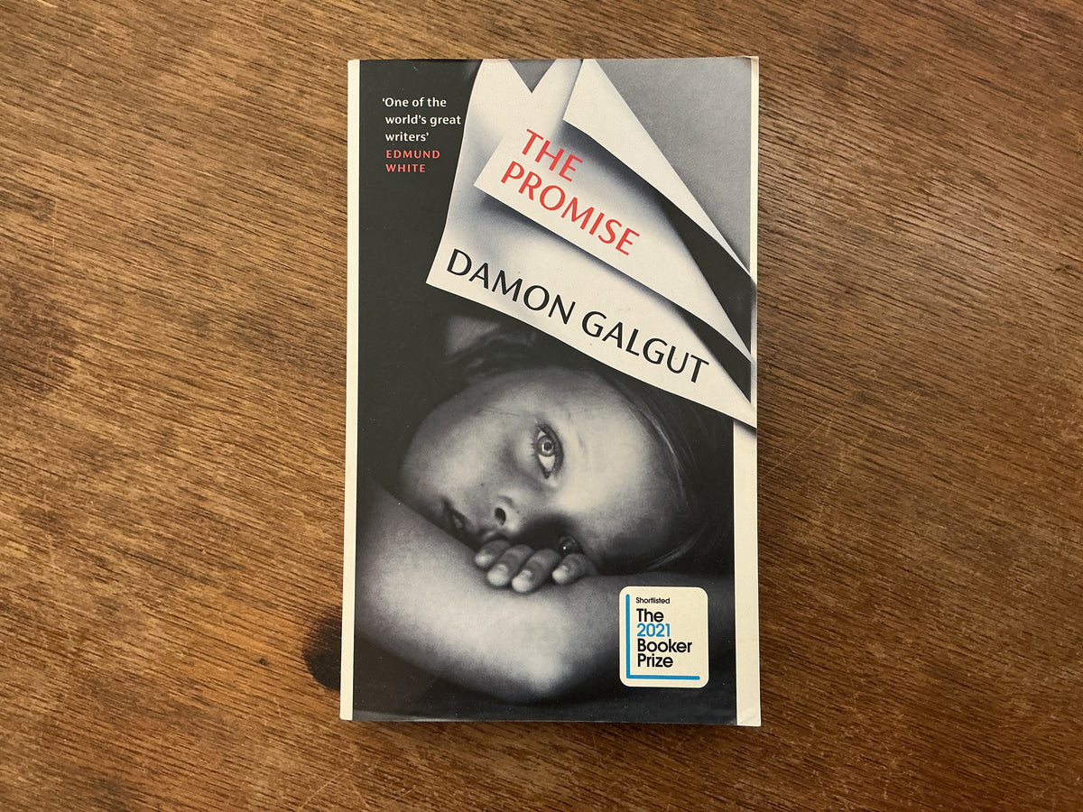 The Promise by Damon Galgut