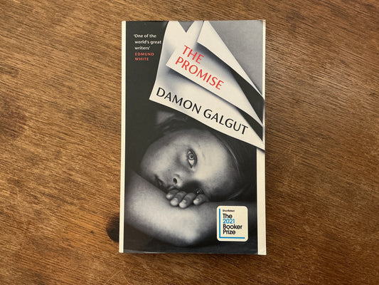 The Promise by Damon Galgut