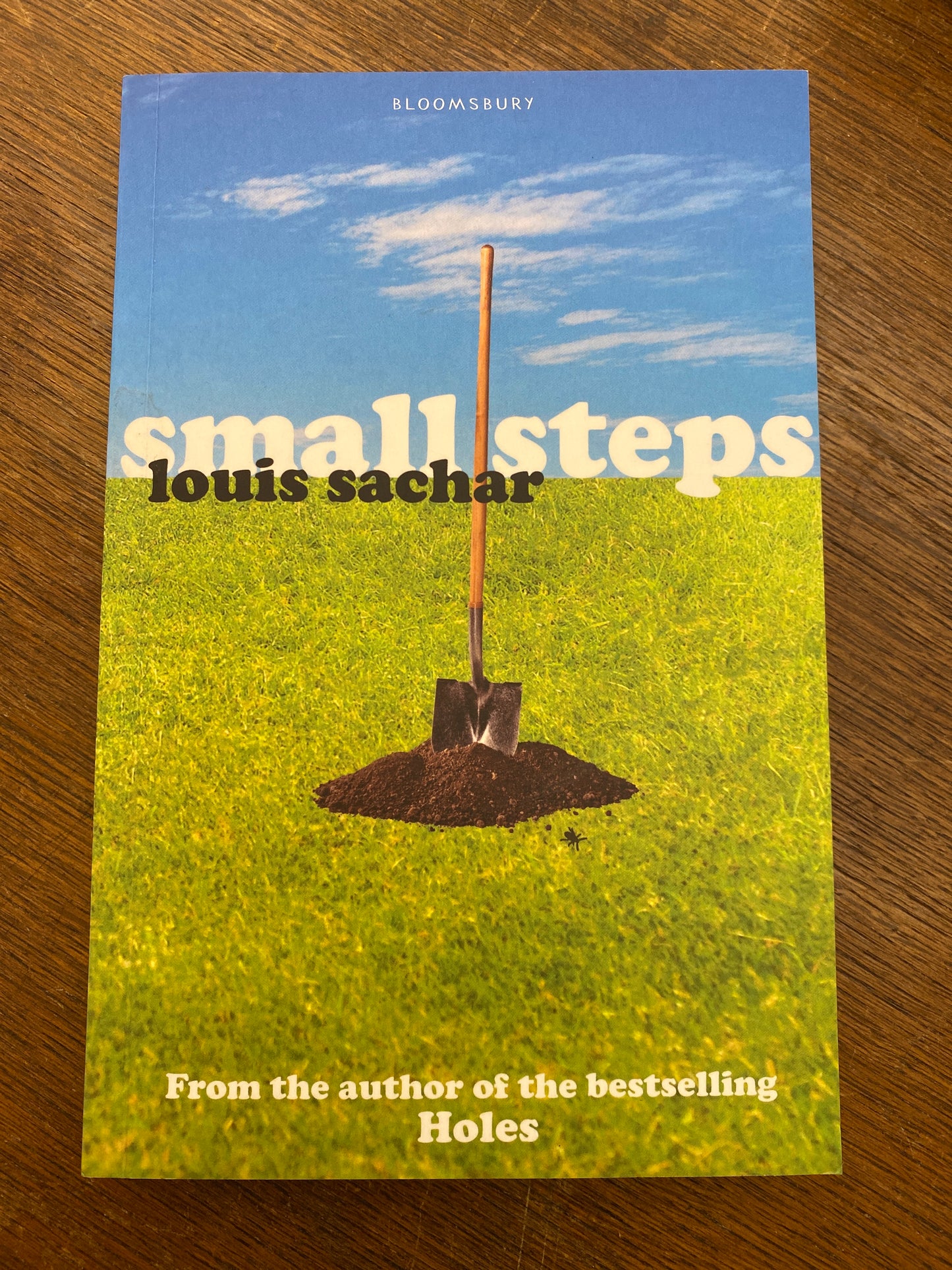 Small Steps by Louis Sachar
