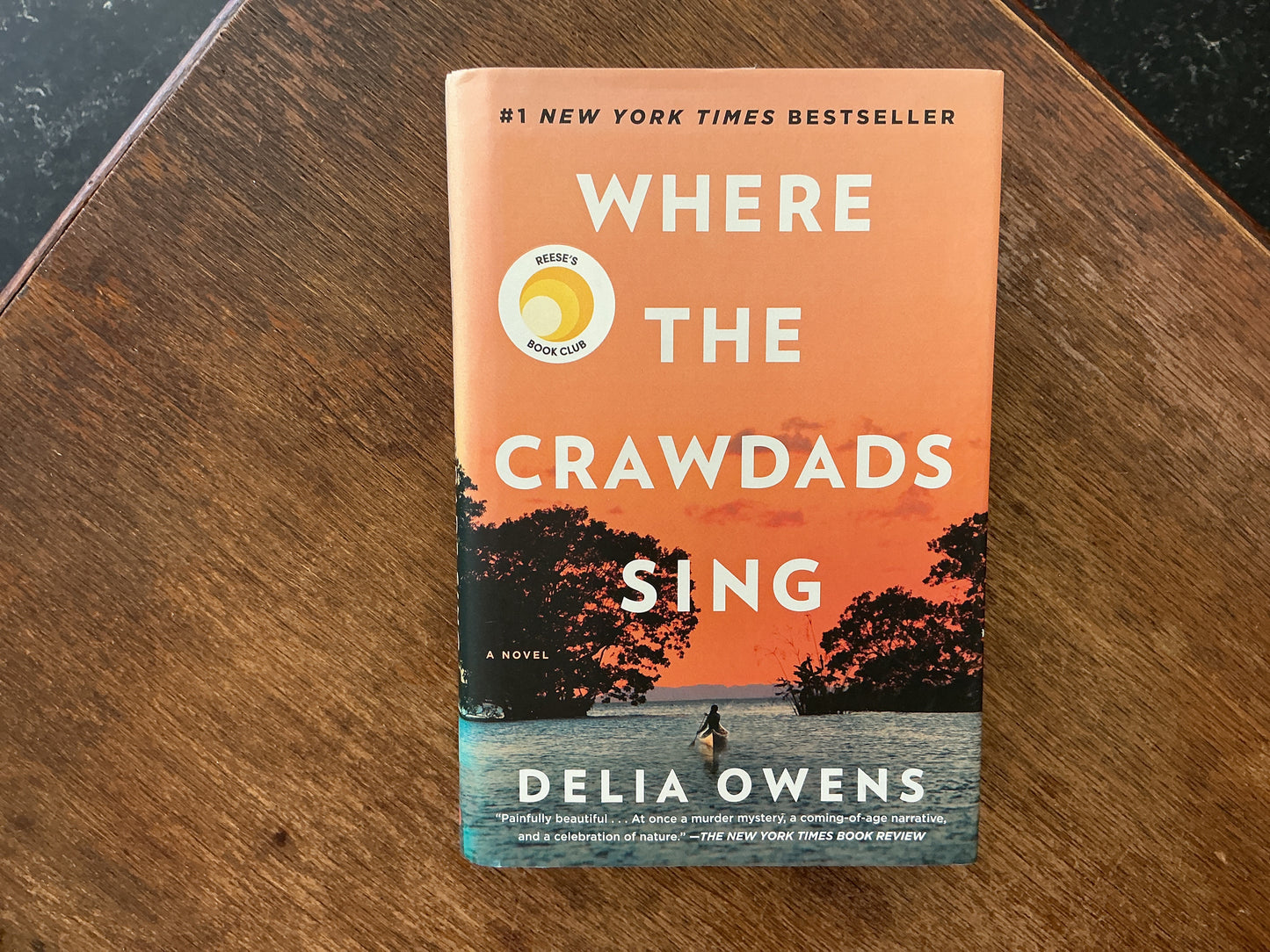 Where the Crawdads Sing by Delia Owen’s