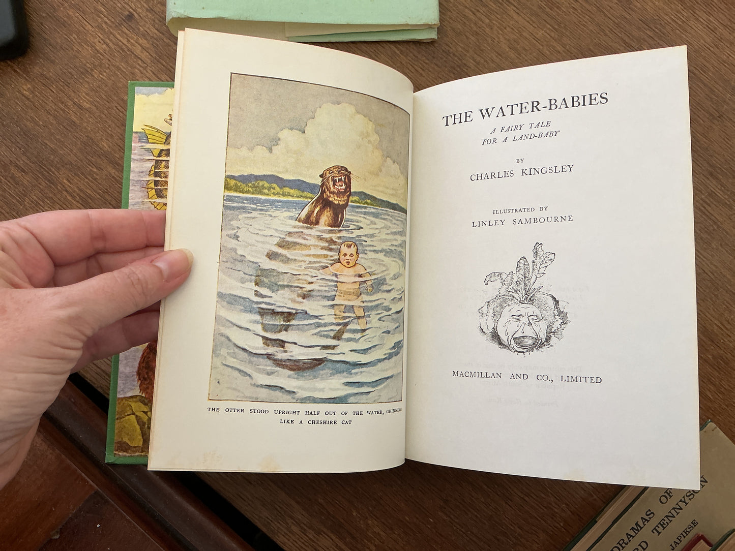 The Waterbabies by Charles Kingsley 1979 edition