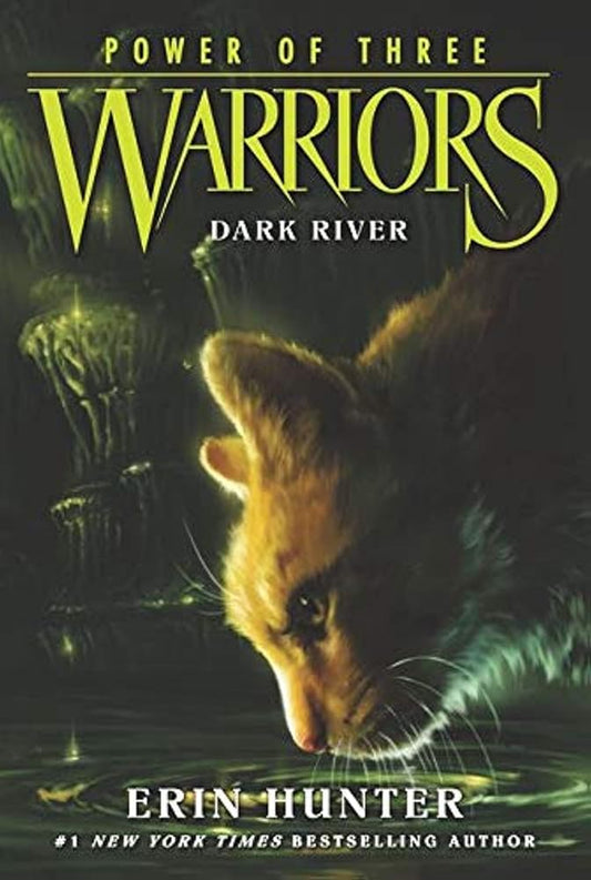 Warriors: Power of Three #2: Dark River cover image