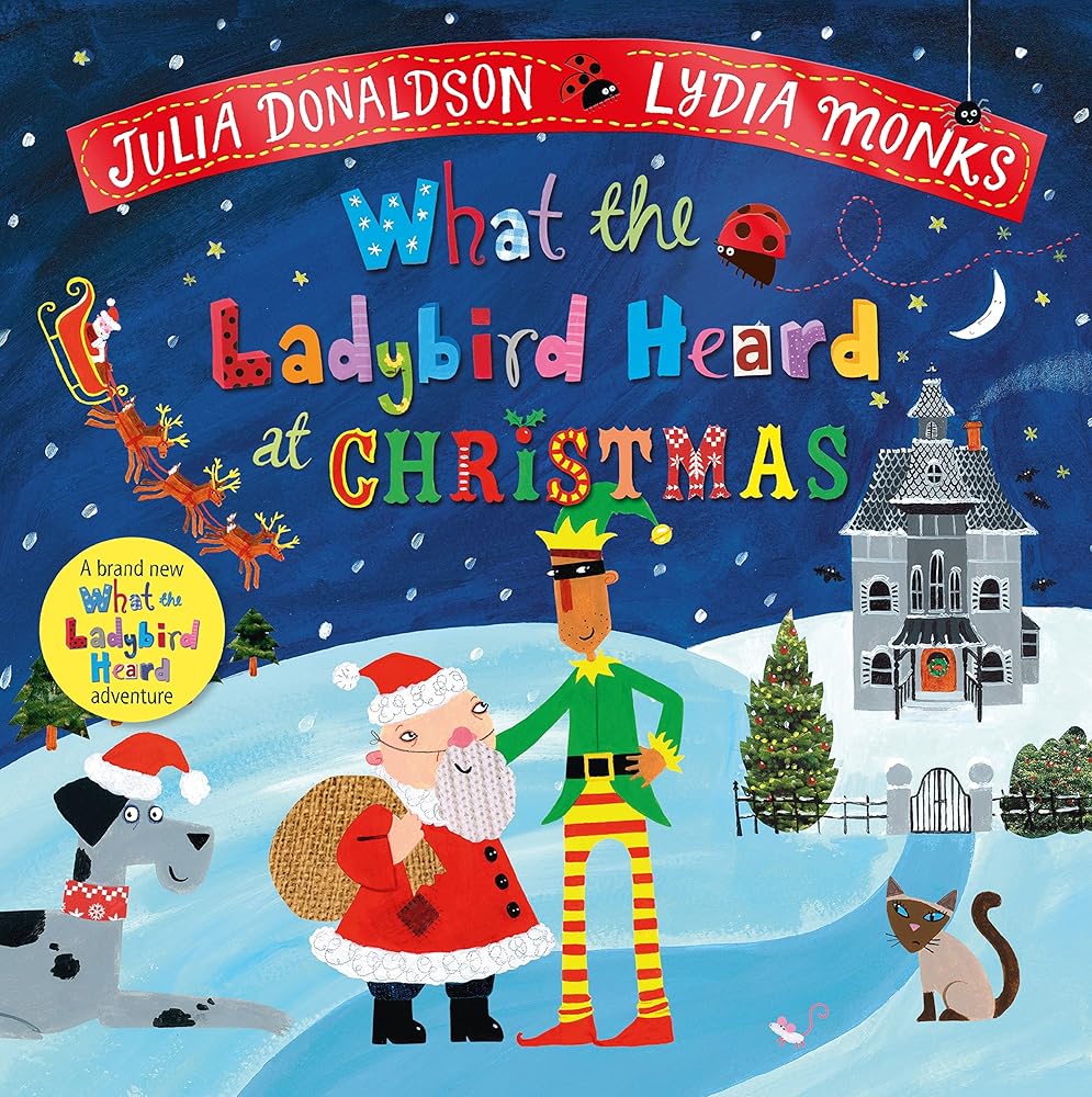 WHAT THE LADYBIRD HEARD AT CHRISTMAS cover image