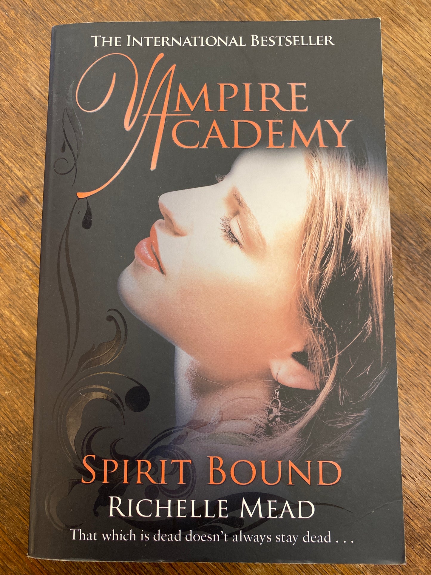 Vampire Diaries- Spirit Bound (book 5)