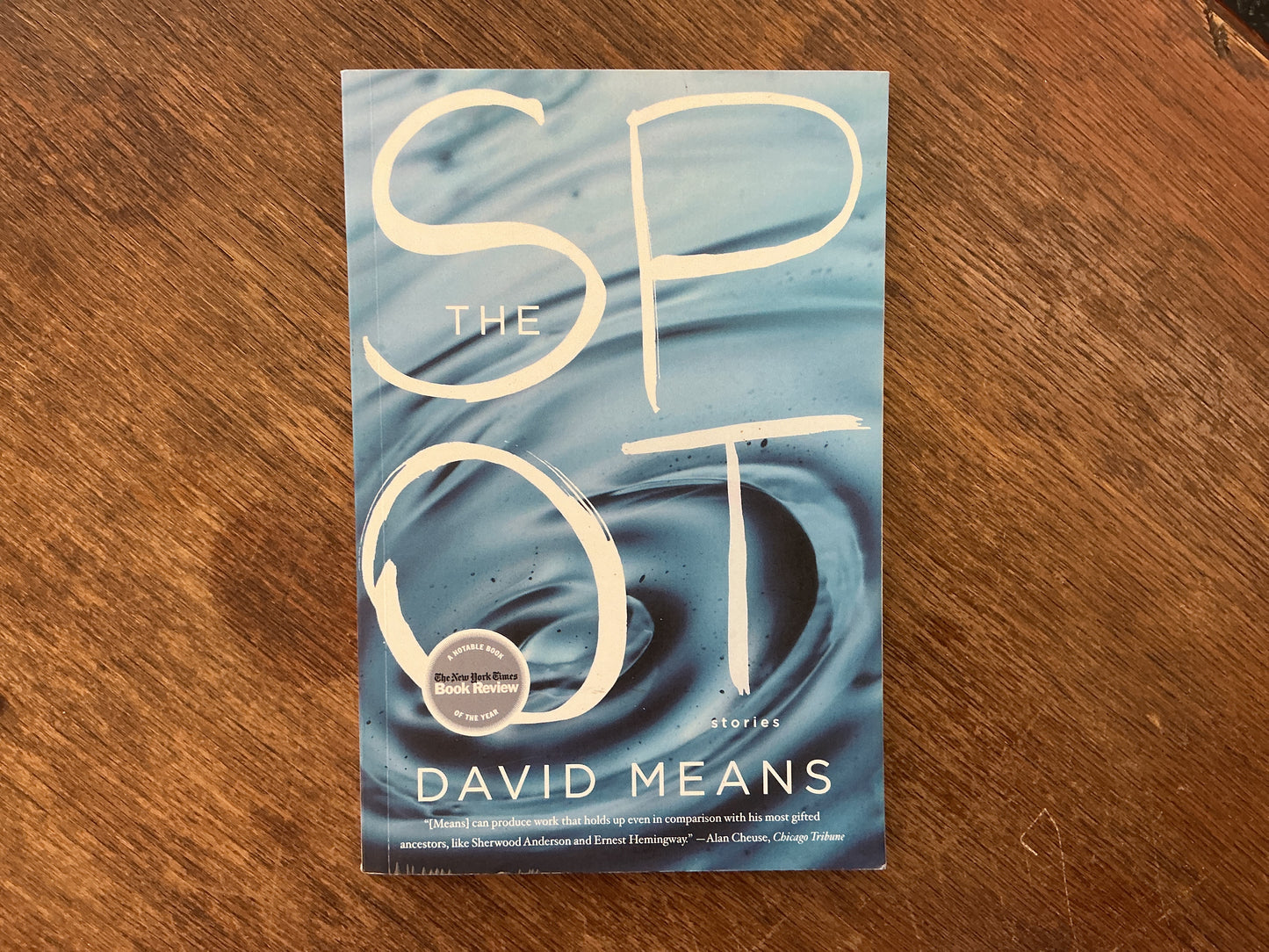 The Spot: Stories by David Means
