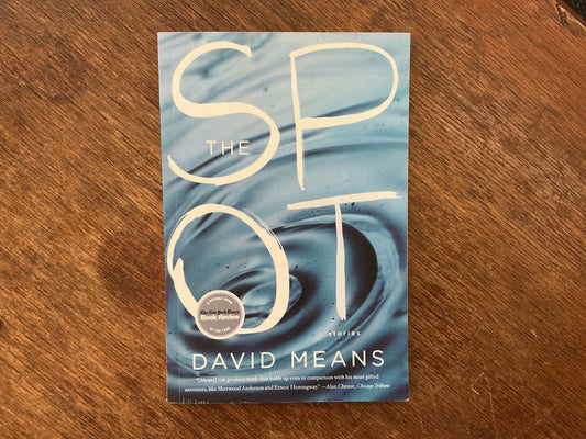 The Spot: Stories by David Means