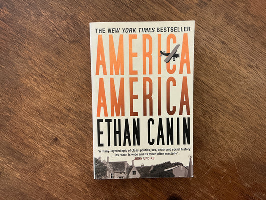 America, America by Ethan Canin