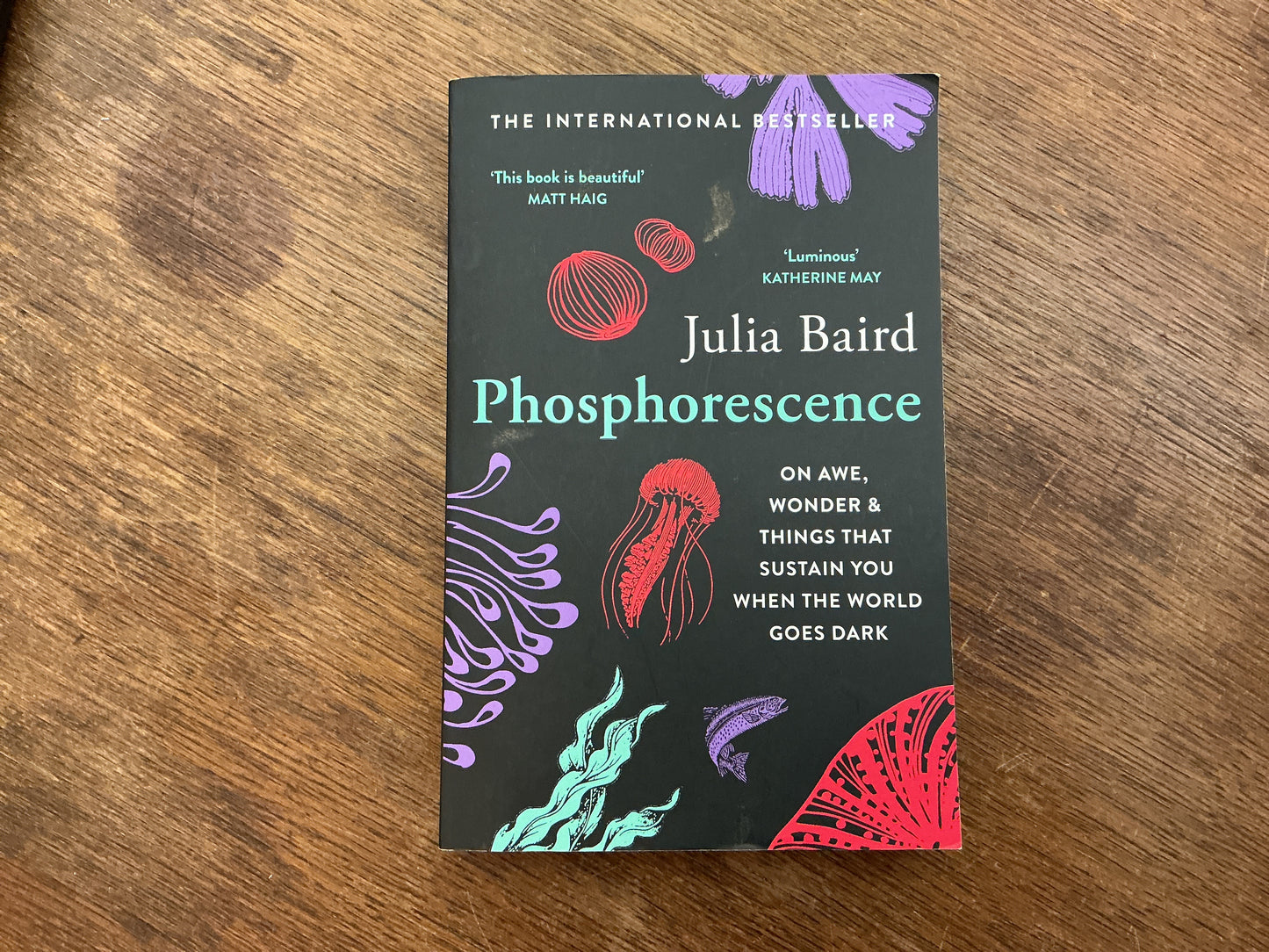 Phosphorescence: On Awe, Wonder & Things That Sustain You When the World Goes Dark