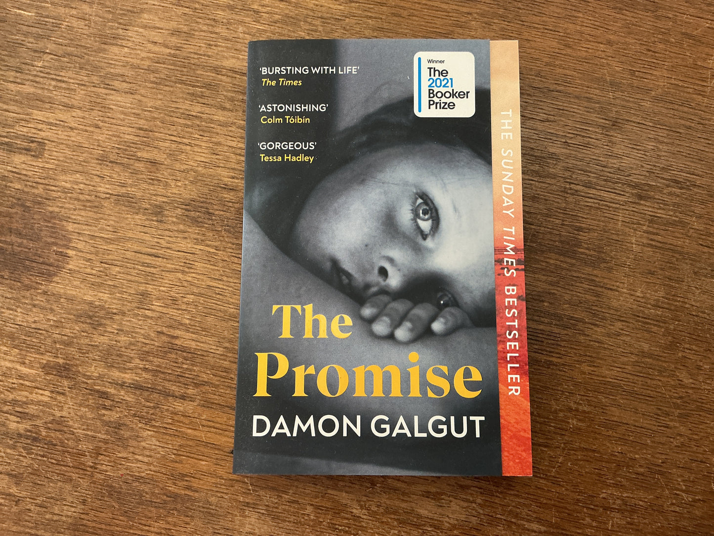 The Promise by Damon Galgut