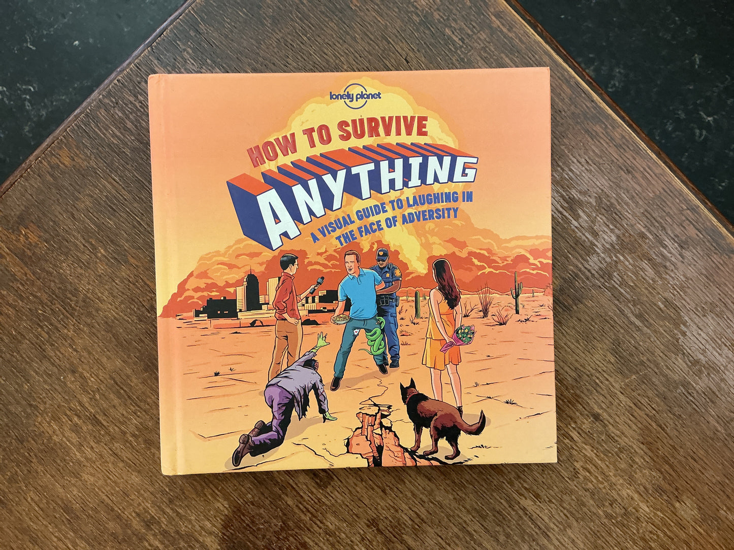 Lonely Planet How to Survive Anything: A Visual Guide to Laughing in the Face of Adversity